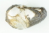  ( - CCDB22763-C07)  @11 [ ] CreativeCommons - Attribution Non-Commercial Share-Alike (2015) Melissa Frey Royal BC Museum
