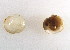  ( - CCDB22172-F09)  @11 [ ] CreativeCommons - Attribution (2014) Kara Layton Centre for Biodiversity Genomics