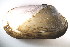  ( - CCDB22172-G10)  @12 [ ] CreativeCommons - Attribution (2014) Kara Layton Centre for Biodiversity Genomics