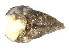  ( - CCDB22174-A10)  @12 [ ] CreativeCommons - Attribution (2014) Kara Layton Centre for Biodiversity Genomics