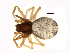  ( - BIOUG35423-E02)  @11 [ ] CreativeCommons - Attribution Share-Alike (2023) Unspecified Centre for Biodiversity Genomics