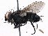  ( - BIOUG07936-H01)  @14 [ ] CreativeCommons - Attribution (2014) CBG Photography Group Centre for Biodiversity Genomics