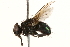  ( - BIOUG07954-D03)  @14 [ ] CreativeCommons - Attribution (2015) CBG Photography Group Centre for Biodiversity Genomics