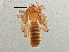  ( - BIOUG08041-G04)  @14 [ ] CreativeCommons - Attribution (2013) CBG Photography Group Centre for Biodiversity Genomics