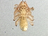 ( - BIOUG08044-D05)  @14 [ ] CreativeCommons - Attribution (2013) CBG Photography Group Centre for Biodiversity Genomics