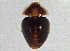  ( - BIOUG08035-H08)  @13 [ ] CreativeCommons - Attribution (2014) CBG Photography Group Centre for Biodiversity Genomics