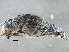  ( - BIOUG07961-B09)  @14 [ ] CreativeCommons - Attribution (2013) CBG Photography Group Centre for Biodiversity Genomics