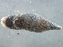  ( - BIOUG07961-C11)  @14 [ ] CreativeCommons - Attribution (2013) CBG Photography Group Centre for Biodiversity Genomics