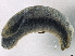  ( - BIOUG07961-F03)  @13 [ ] CreativeCommons - Attribution (2013) CBG Photography Group Centre for Biodiversity Genomics