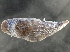  ( - BIOUG08048-B03)  @14 [ ] CreativeCommons - Attribution (2013) CBG Photography Group Centre for Biodiversity Genomics
