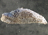  ( - BIOUG08048-G07)  @14 [ ] CreativeCommons - Attribution (2013) CBG Photography Group Centre for Biodiversity Genomics