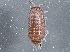  ( - BIOUG08049-F05)  @14 [ ] CreativeCommons - Attribution (2013) CBG Photography Group Centre for Biodiversity Genomics