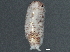  ( - BIOUG08049-G03)  @13 [ ] CreativeCommons - Attribution (2013) CBG Photography Group Centre for Biodiversity Genomics