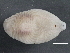  ( - BIOUG08058-D04)  @12 [ ] CreativeCommons - Attribution (2013) CBG Photography Group Centre for Biodiversity Genomics