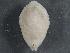  ( - BIOUG08058-D06)  @13 [ ] CreativeCommons - Attribution (2013) CBG Photography Group Centre for Biodiversity Genomics