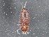  ( - BIOUG08059-B09)  @13 [ ] CreativeCommons - Attribution (2013) CBG Photography Group Centre for Biodiversity Genomics