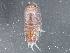  ( - BIOUG08059-B10)  @14 [ ] CreativeCommons - Attribution (2013) CBG Photography Group Centre for Biodiversity Genomics