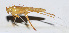  ( - 201502-3B)  @13 [ ] CreativeCommons - Attribution (2010) Zhi-Jun Zhou Centre for Biodiversity Genomics