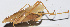  ( - 201502-3F)  @12 [ ] CreativeCommons - Attribution (2010) Zhi-Jun Zhou Centre for Biodiversity Genomics