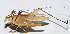  ( - 201502-4F)  @12 [ ] CreativeCommons - Attribution (2010) Zhi-Jun Zhou Centre for Biodiversity Genomics