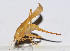  ( - 201502-8A)  @13 [ ] CreativeCommons - Attribution (2010) Zhi-Jun Zhou Centre for Biodiversity Genomics