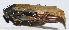  ( - 201503-3F)  @12 [ ] CreativeCommons - Attribution (2010) Zhi-Jun Zhou Centre for Biodiversity Genomics