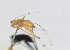  ( - 201503-7A)  @12 [ ] CreativeCommons - Attribution (2010) Zhi-Jun Zhou Centre for Biodiversity Genomics