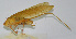  ( - 20150508028)  @12 [ ] CreativeCommons - Attribution (2010) Zhi-Jun Zhou Centre for Biodiversity Genomics