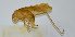  ( - 20150508029)  @12 [ ] CreativeCommons - Attribution (2010) Zhi-Jun Zhou Centre for Biodiversity Genomics