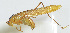  ( - 20150521029)  @12 [ ] CreativeCommons - Attribution (2010) Zhi-Jun Zhou Centre for Biodiversity Genomics
