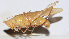  ( - 201506-10F)  @13 [ ] CreativeCommons - Attribution (2010) Zhi-Jun Zhou Centre for Biodiversity Genomics