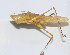  ( - 20150606019)  @13 [ ] CreativeCommons - Attribution (2010) Zhi-Jun Zhou Centre for Biodiversity Genomics