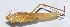  ( - 20150606021)  @13 [ ] CreativeCommons - Attribution (2010) Zhi-Jun Zhou Centre for Biodiversity Genomics