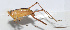  ( - 20150606031)  @12 [ ] CreativeCommons - Attribution (2010) Zhi-Jun Zhou Centre for Biodiversity Genomics