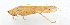  ( - 20150610003)  @12 [ ] CreativeCommons - Attribution (2010) Zhi-Jun Zhou Centre for Biodiversity Genomics