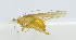  ( - 20150610033)  @13 [ ] CreativeCommons - Attribution (2010) Zhi-Jun Zhou Centre for Biodiversity Genomics
