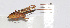  ( - 20150721004)  @11 [ ] CreativeCommons - Attribution (2010) Zhi-Jun Zhou Centre for Biodiversity Genomics