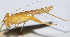  ( - 201508-10H)  @12 [ ] CreativeCommons - Attribution (2010) Zhi-Jun Zhou Centre for Biodiversity Genomics