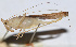  ( - 201508-11E)  @12 [ ] CreativeCommons - Attribution (2010) Zhi-Jun Zhou Centre for Biodiversity Genomics