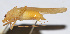  ( - 201508-12E)  @12 [ ] CreativeCommons - Attribution (2010) Zhi-Jun Zhou Centre for Biodiversity Genomics