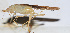  ( - 201508-2E)  @12 [ ] CreativeCommons - Attribution (2010) Zhi-Jun Zhou Centre for Biodiversity Genomics
