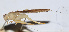  ( - 201508-2F)  @12 [ ] CreativeCommons - Attribution (2010) Zhi-Jun Zhou Centre for Biodiversity Genomics