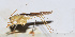  ( - 201508-3A)  @12 [ ] CreativeCommons - Attribution (2010) Zhi-Jun Zhou Centre for Biodiversity Genomics