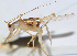  ( - 201508-3D)  @12 [ ] CreativeCommons - Attribution (2010) Zhi-Jun Zhou Centre for Biodiversity Genomics
