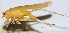  ( - 201508-4D)  @13 [ ] CreativeCommons - Attribution (2010) Zhi-Jun Zhou Centre for Biodiversity Genomics