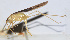  ( - 201508-4E)  @12 [ ] CreativeCommons - Attribution (2010) Zhi-Jun Zhou Centre for Biodiversity Genomics