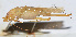  ( - 201508-4F)  @12 [ ] CreativeCommons - Attribution (2010) Zhi-Jun Zhou Centre for Biodiversity Genomics