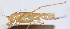  ( - 201508-5D)  @13 [ ] CreativeCommons - Attribution (2010) Zhi-Jun Zhou Centre for Biodiversity Genomics