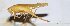  ( - 201508-7G)  @12 [ ] CreativeCommons - Attribution (2010) Zhi-Jun Zhou Centre for Biodiversity Genomics