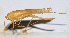  ( - 201509-10C)  @12 [ ] CreativeCommons - Attribution (2010) Zhi-Jun Zhou Centre for Biodiversity Genomics